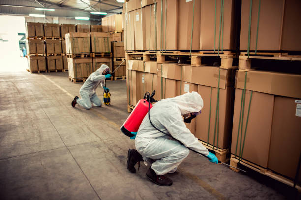 Best Local Pest Control Services  in Orleans, IN