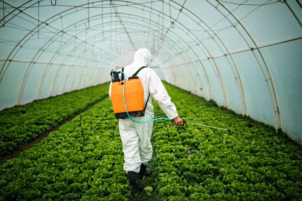 Best Emergency Pest Control  in Orleans, IN