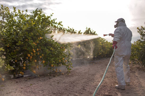 Flea Control Services in Orleans, IN