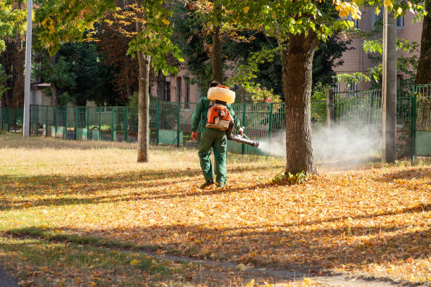 Best Pest Prevention Services  in Orleans, IN