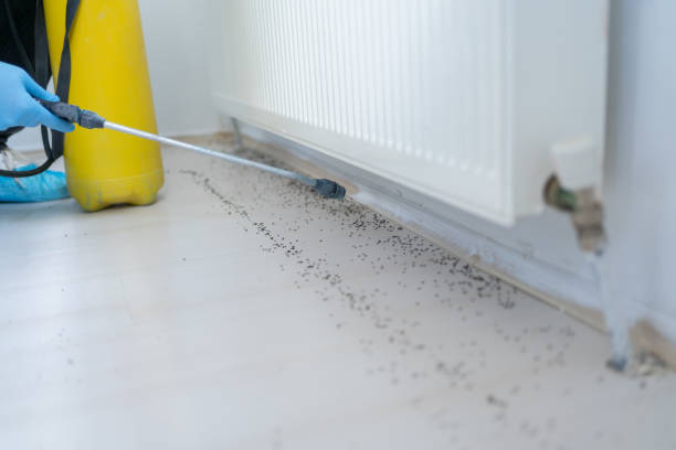 Best Pest Removal Services  in Orleans, IN
