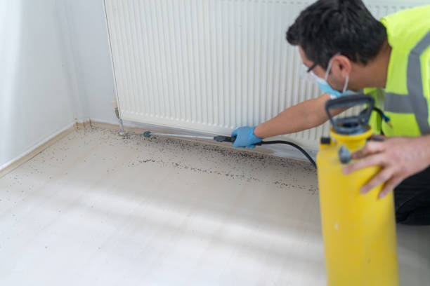 Best Pest Control Near Me  in Orleans, IN
